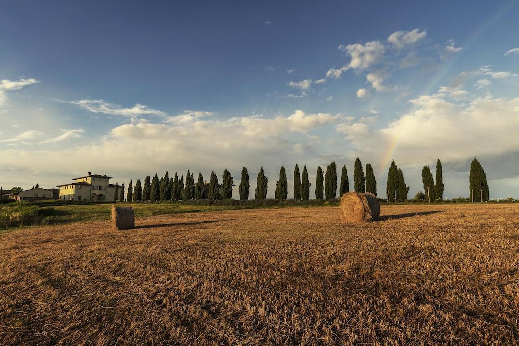 Апартаменты Casale Podernovo Terricciola Экстерьер фото